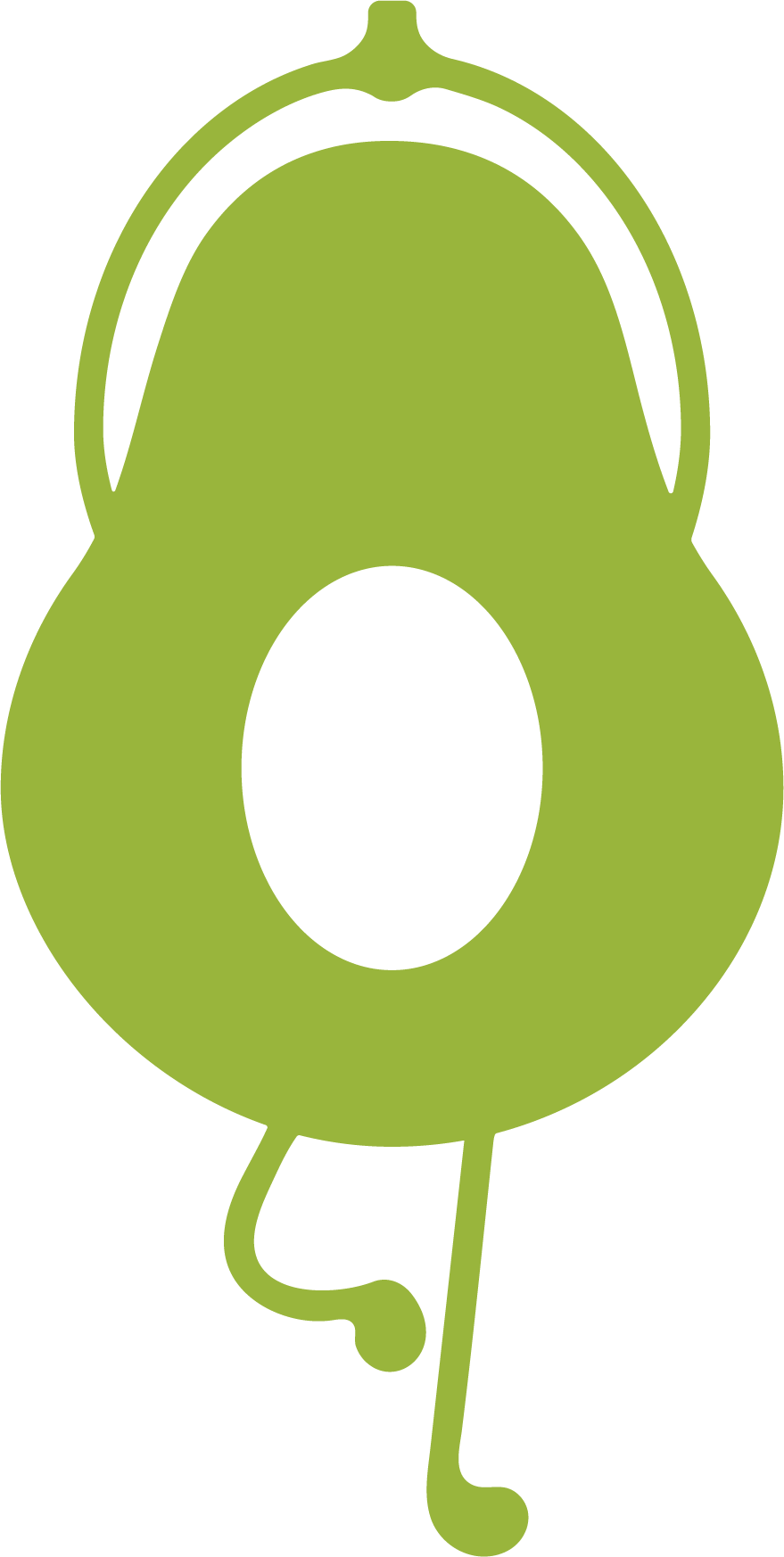 WoW Palta — the avocado mascot at the heart of Wholesome Wellness